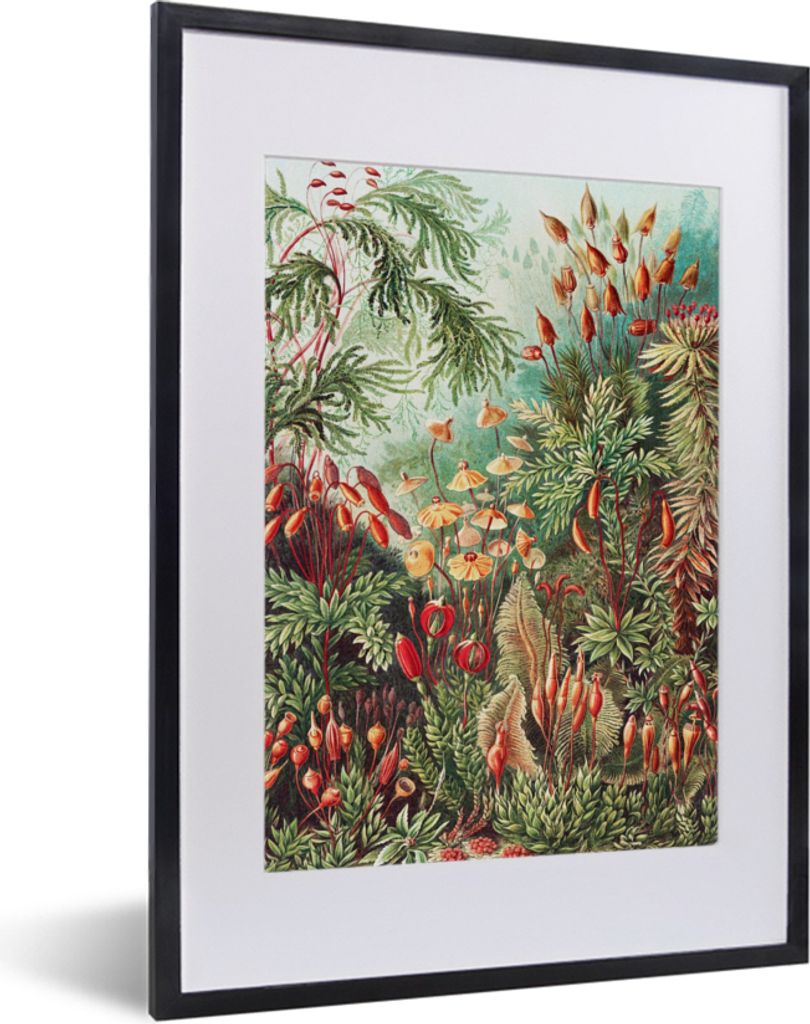 MuchoWow Gerahmtes Poster Blumen - Kunst - Vintage - Natur - Botanisch 30x40 cm - Poster mit Schwarzem Bilderrahmen Wandposter Rahmen Foto Bilder...