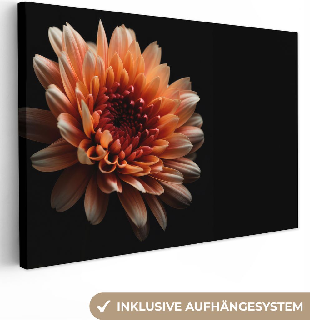 OneMillionCanvasses - Leinwandbilder - 140x90 cm, Blumen - Orange - Natur - Chrysantheme - Schwarz, Wandbilder Kunstdruck Wanddekoration - Foto a...