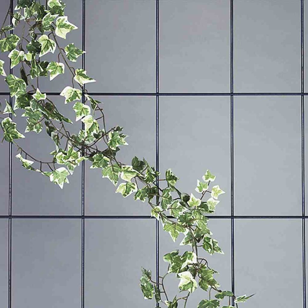 SIENA GARDEN Spalier 5strebig 150 x 75 cm