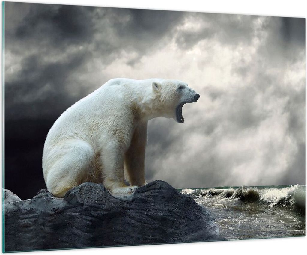 Bilder auf glas - Bär Tiere Wasser Eis - 100x70cm - Glasbilder - Wandbilder - Kunstdruck - zum Aufhängen bereit - Wanddekoration aus Glas - Glas ...