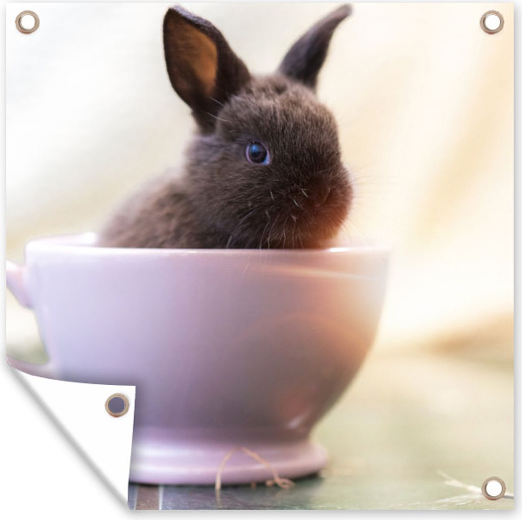 MuchoWow 100x100 cm Outdoor-Poster Gartendeko Sichtschutz Garten Poster für den Garten Kaninchen - Baby - Teetasse
