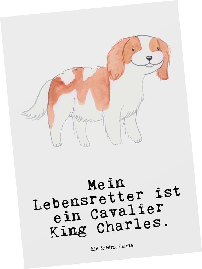 Mr. & Mrs. Panda Postkarte Cavalier King Charles Spaniel Lebensretter - Weiß - Geschenk, Fotokarte, Ansichtskarten, Ansichtskarte, Grußkarte, Pos...