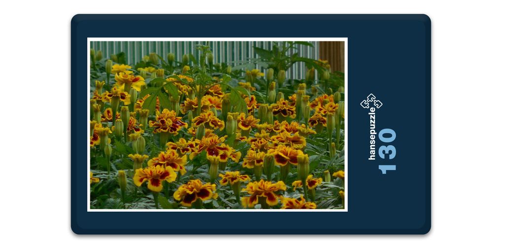 hansepuzzle 17182 - gelbe Begonie Puzzle, 130 Teile, Natur, 28,7 x 20,0cm mit hochwertiger Aufbewahrung, Kartonbox und wiederverschließbarem Beutel