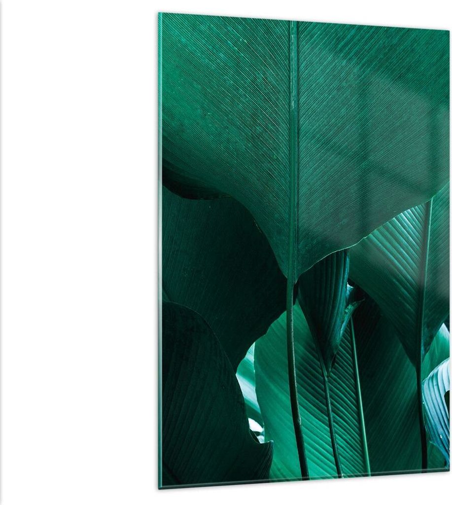 Bilder auf glas - Einteilig - Blätter Palmen Banane - 80x120cm - Glasbilder - Wandbilder - Bilder - zum Aufhängen bereit - Wanddekoration aus Gla...