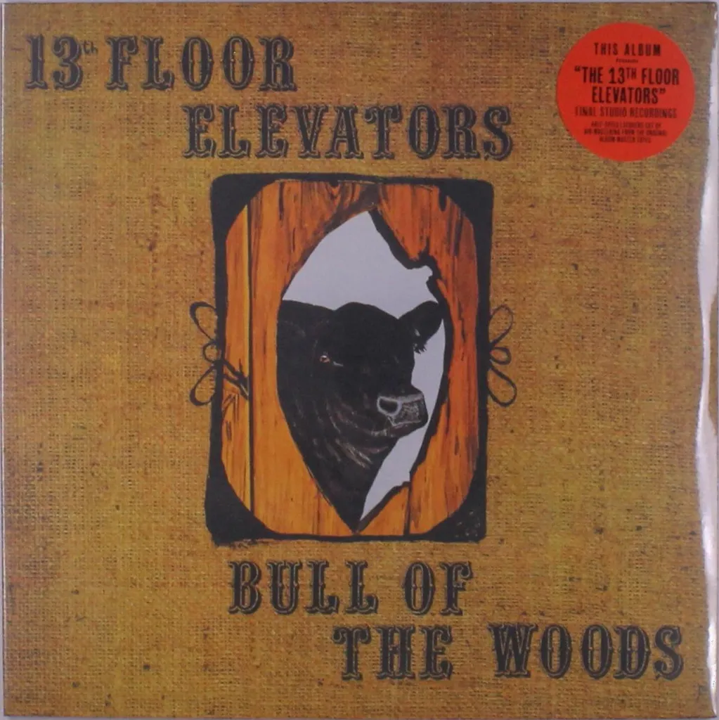 Album Vinyle Bull Of The Woods 13th Floor Elevators Remasterisé 12''