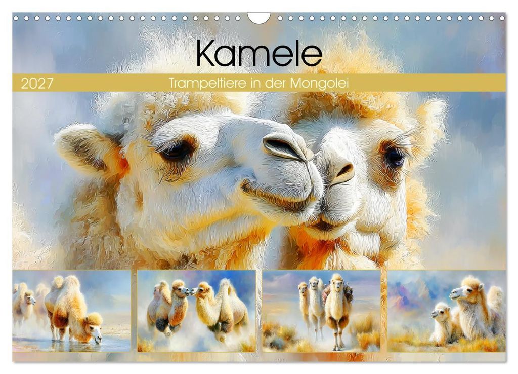 Kamele. Trampeltiere in der Mongolei (Wandkalender 2027 DIN A3 quer), CALVENDO Monatskalender