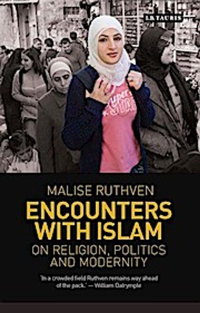Encounters with Islam: On Religion, Politics and Modernity