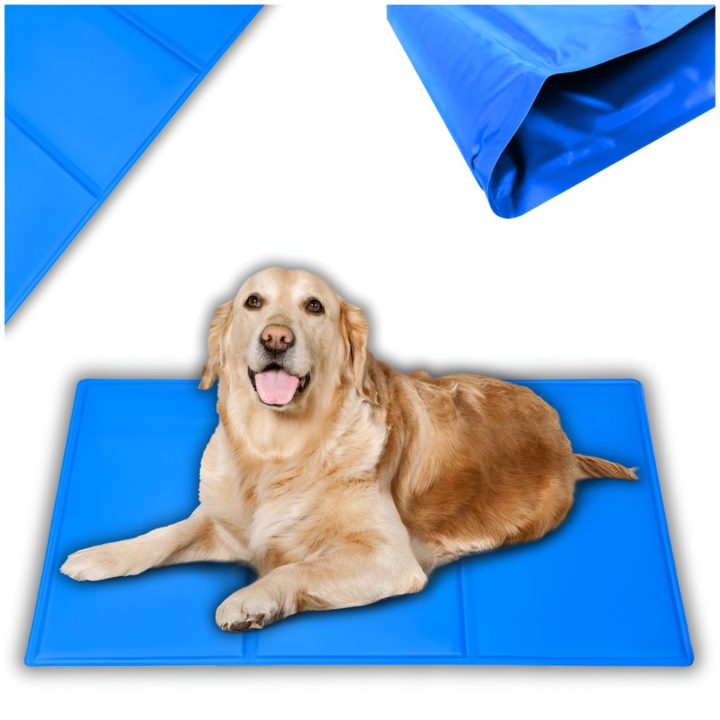A golden retriever dog is lying on a blue cooling mat.