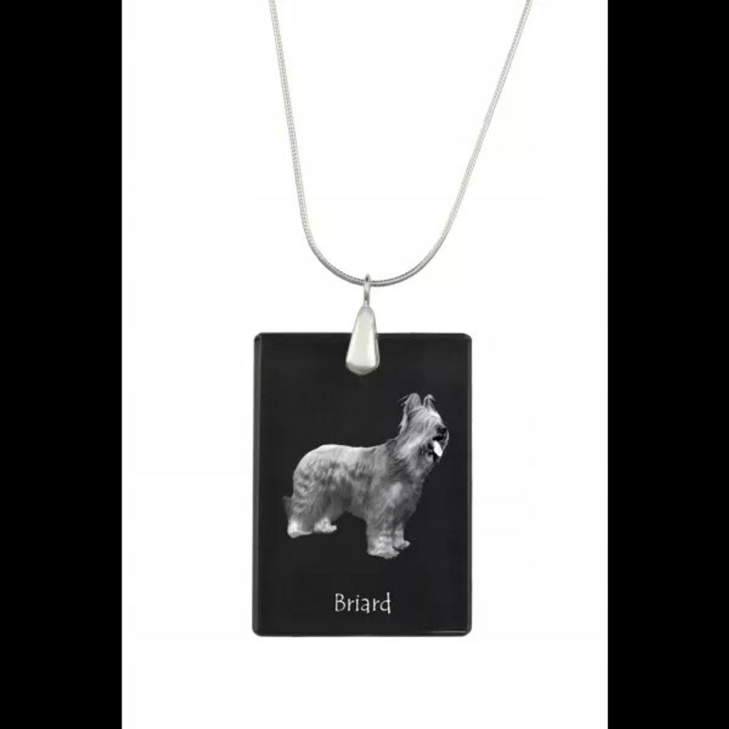 Briard, Berger de Brie - Kristallanhänger für Hunde, Foto-Halskette, einzigartiger Schmuck von Art-Dog