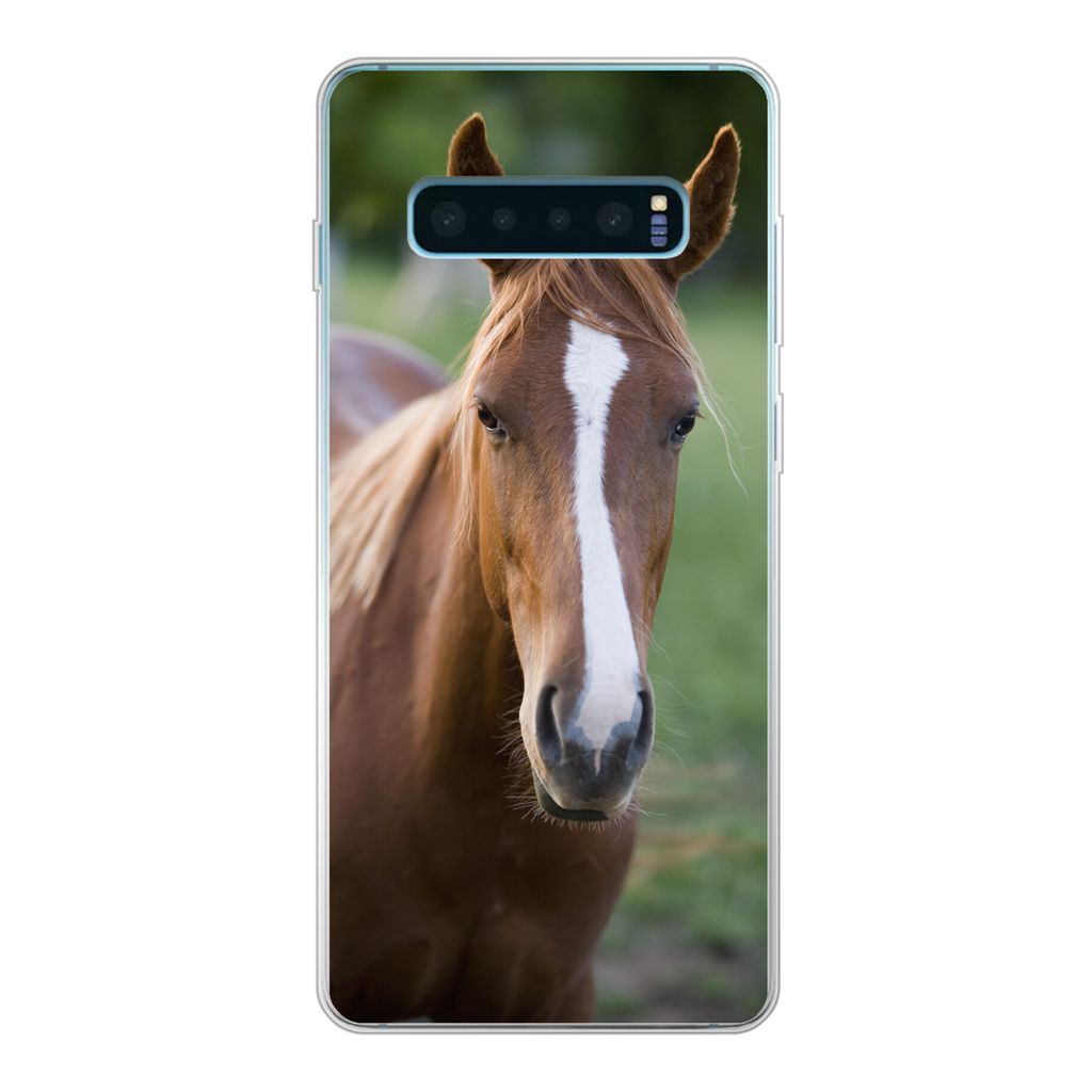 MuchoWow Handyhülle Schutzhülle Hülle für Samsung Galaxy S10 Plus Pferd - Natur - Porträt Silikon Softcase Handy Hülle - Schutzhülle