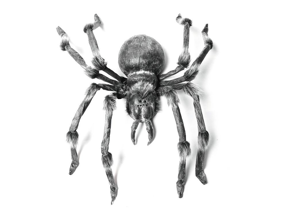 EUROPALMS Monsterspider ca.130cm Produktbild 