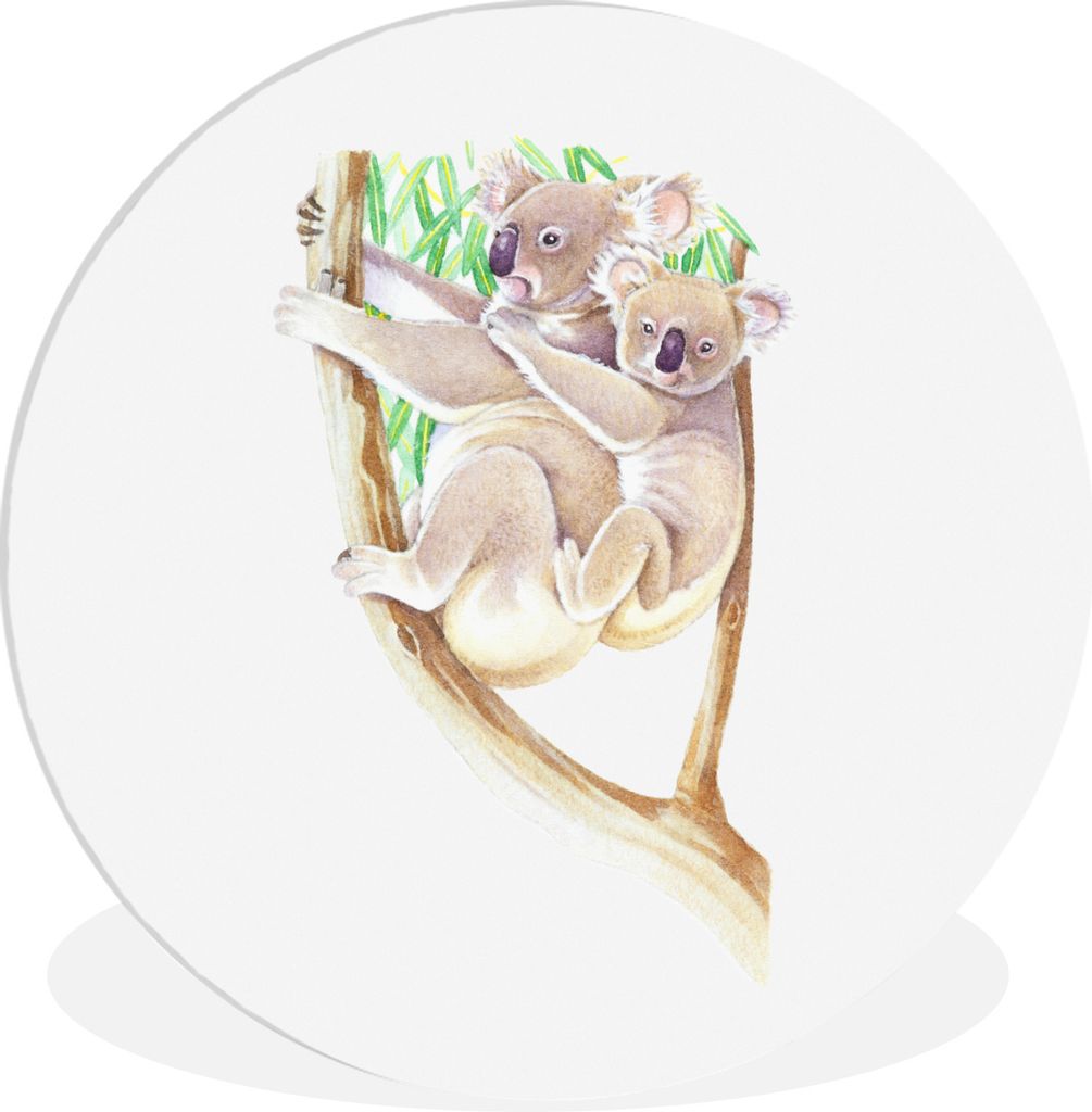 MuchoWow Rundes Wandbild - Runde Bilder Koala - Zweig - Aquarell Ø 90 cm Kreis Wanddekoration Kunststoff - Wandkreis - Wandschmuck - Wand-Kreis ...