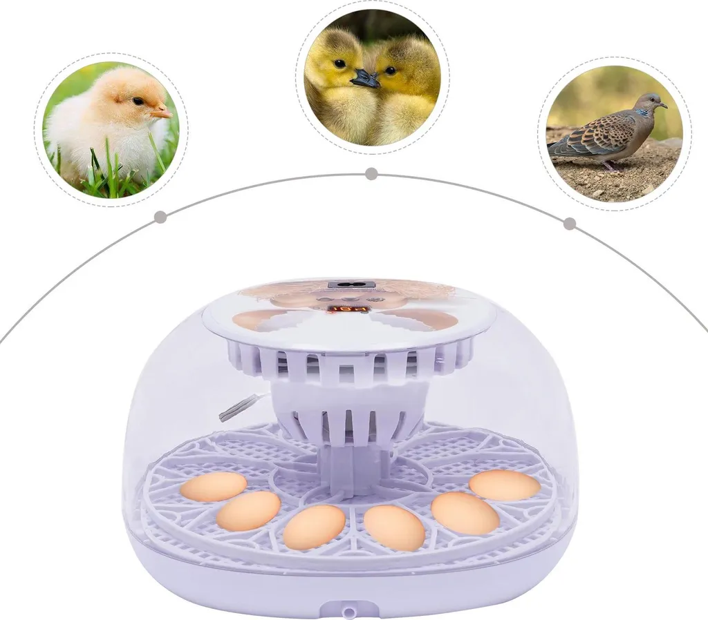 Incubatrice 12 Uova High-Tech: Controllo Temperatura e Risparmio 35W - 7