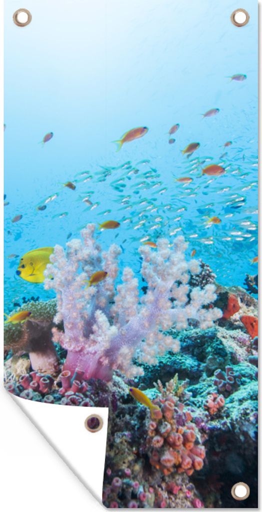 MuchoWow 40x80 cm Outdoor-Poster Gartendeko Sichtschutz Garten Poster für den Garten Farbenfrohe Riffe und Korallen