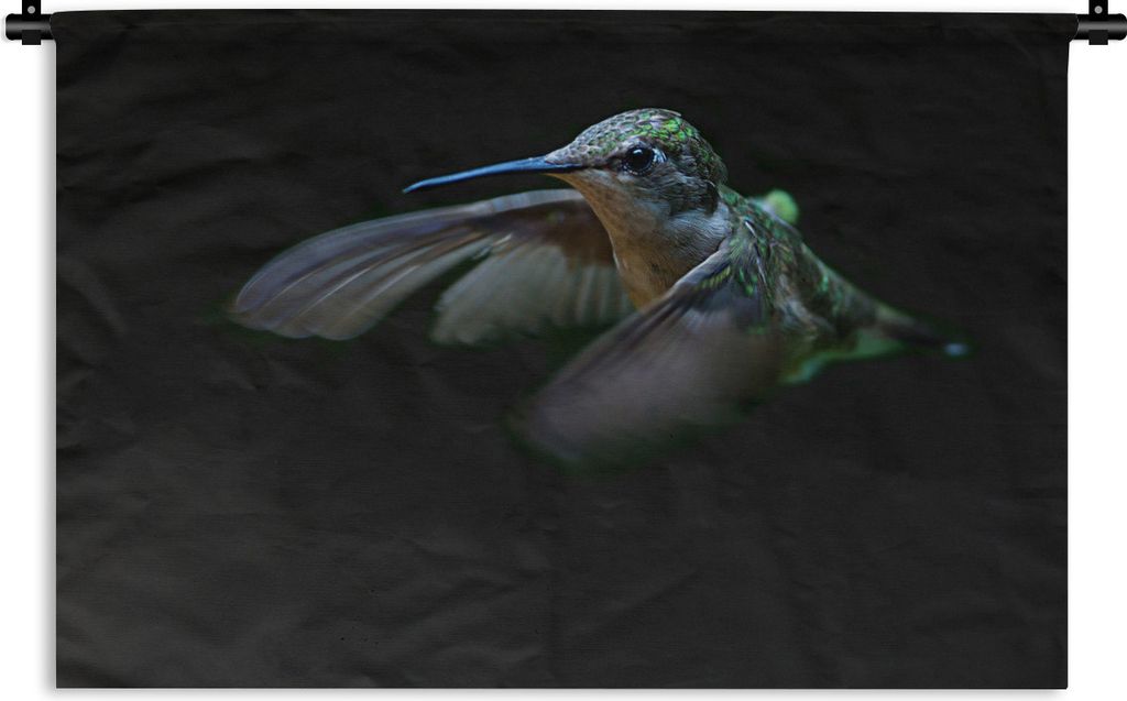 MuchoWow Wandteppich Wandbehang Kolibri - Federn - Schwarz 60x40 cm Tapisserie Dekoration Wandtuch - Wanddekorationen