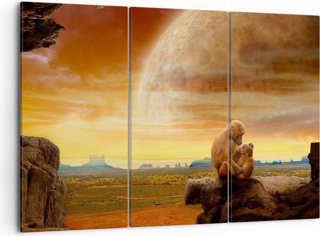 Bild auf Leinwand - Leinwandbild - Affen Mutter Natur Berg Produktbild 