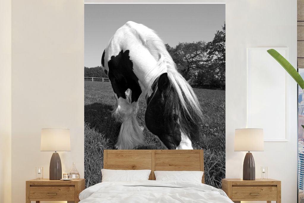 MuchoWow Fototapete für Wohnzimmer oder Schlafzimmer Wandtapete Vinyl Motivtapete Irish Tinker Pferd -Equus przewalskii f. caballus-, Hengst - s...