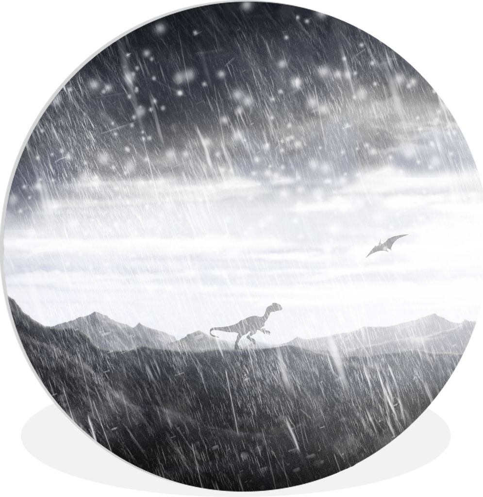MuchoWow Rundes Wandbild - Runde Bilder Dinosaurier - Schwarz - Weiß - Regen Ø 30 cm Kreis Wanddekoration Kunststoff - Wandkreis - Wandschmuck ...