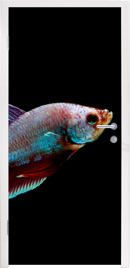 MuchoWow Türtapete Selbstklebende Türfolie Fische - Tiere - Licht 90x205 cm Türposter Türaufkleber Klebefolie Türklebefolie