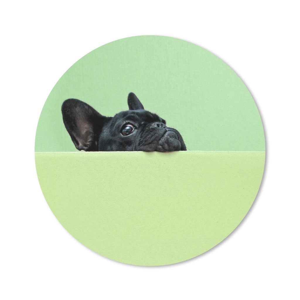 MuchoWow Mauspad Mousepad Französische Bulldogge - Grün - Schwarz 50x50 cm - Mousepads - Maus Mat - Pad - Mausunterlage - Vinyl