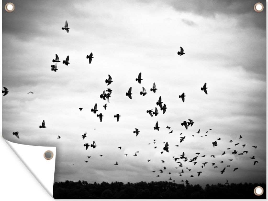 MuchoWow 80x60 cm Outdoor-Poster Gartendeko Sichtschutz Garten Poster für den Garten Tiere - Vögel - Wolken - Schwarz - Weiß