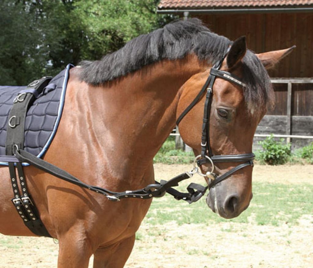 Kerbl Ausbindezügel 2 Stk. Schwarz Pony 323599
