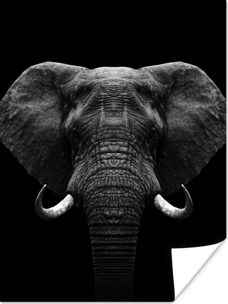 MuchoWow Poster Tiere - Elefant - Porträt - Schwarz - Weiß 30x40 cm - Wandplakat - Poster Kinderzimmer