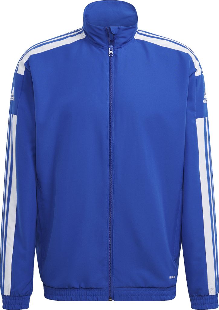 Adidas Sq21 Pre Jkt Royblu/White L