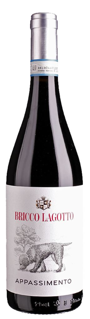 Bricco Lagotto | Appassimento  | Barbera Passito DOC | 0,75 Produktbild 