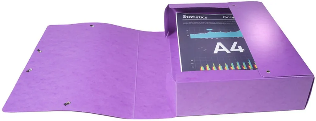 Boîte de classement Iderama Exacompta A4 80mm carton rigide assorti - 12