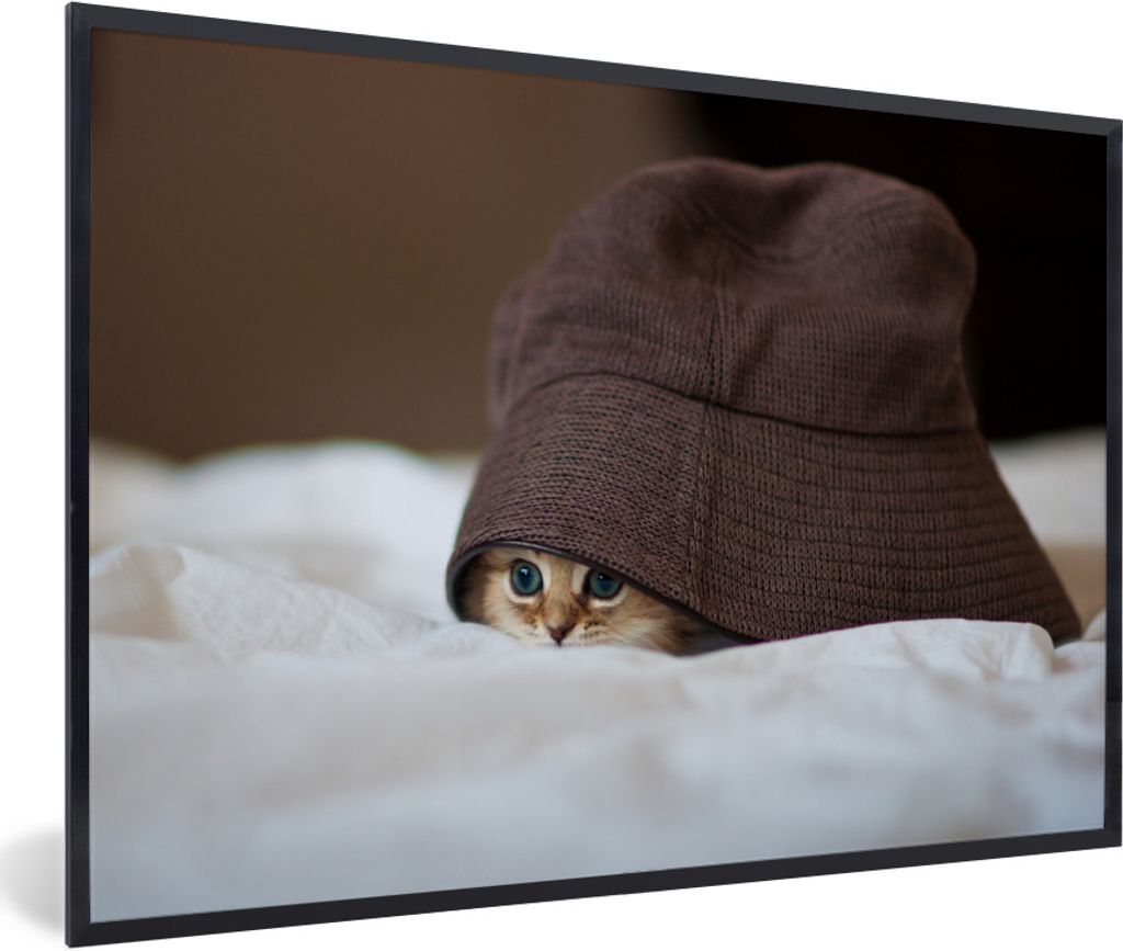 MuchoWow Gerahmtes Poster Ein persisches Kätzchen unter einem Hut versteckt 60x40 cm - Poster mit Schwarzem Bilderrahmen Wandposter Rahmen Foto ...