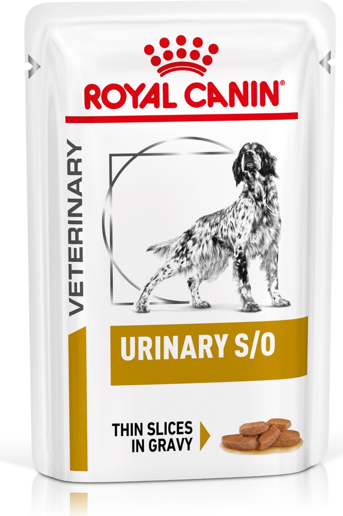Royal Canin Urinary S/O 48x100 g | Nassfutter für Hunde | Struvitsteine