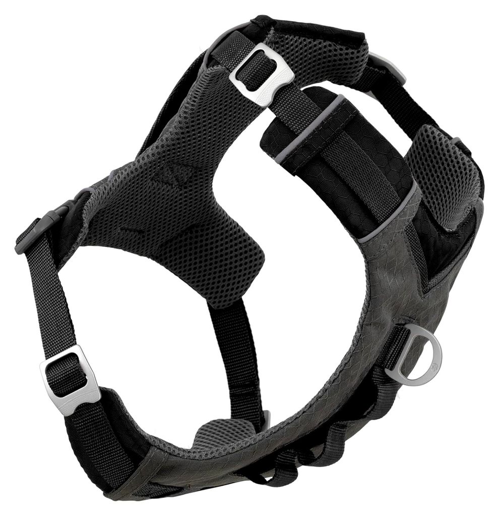 Hunde-Abenteuergeschirr, Schwarz, M