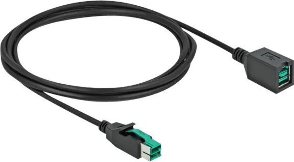 DELOCK PoweredUSB Câble de Rallonge 12V 2m Noir - Modèle 80112 Haute Qualité