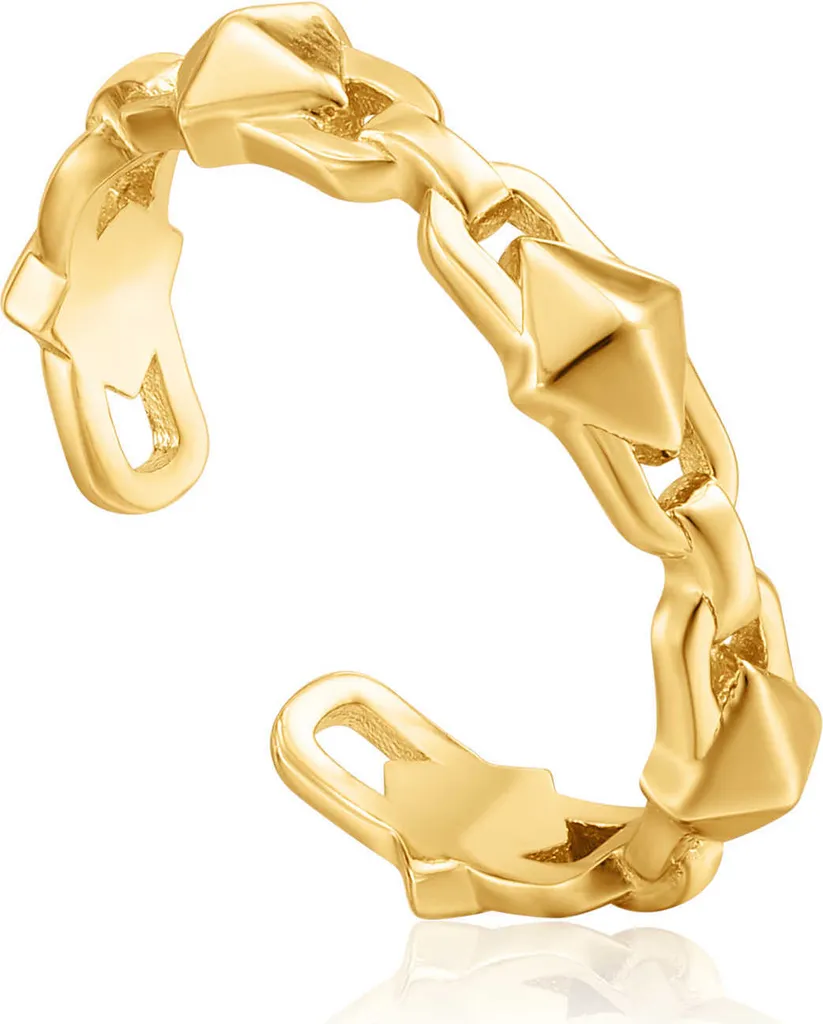 Recensione Anello Ania Haie R025-02G: Prezzo, Materiali e Opinioni