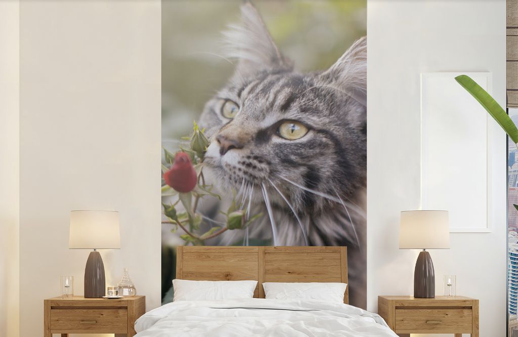 MuchoWow Fototapete für Wohnzimmer oder Schlafzimmer Wandtapete Vinyl Motivtapete Maine Coon Cat zwischen den roten Rosen im Garten - 120x240 cm...