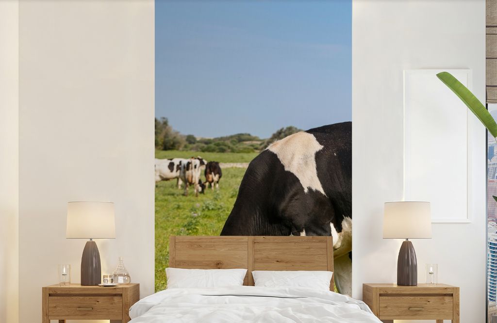 MuchoWow Fototapete für Wohnzimmer oder Schlafzimmer Wandtapete Vinyl Motivtapete Kuh - Gras - Tiere - Wald - 120x240 cm - Hintergrundbild