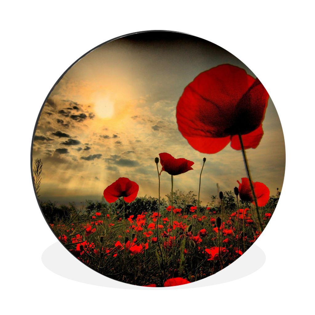 MuchoWow Aluminium Wandkreis Mohnblumen am Abend Ø 30 cm Wanddeko Modern Wohnzimmer - Wand Bild - Wohnzimmer - Runde Bilder - Alubilder - Kunst ...