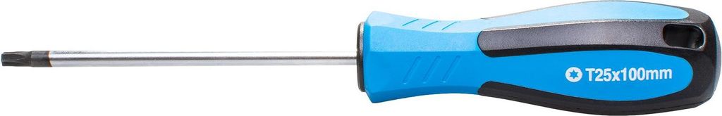 SW-Stahl 31725SB Schraubendreher, T-Profil, T25 x 100 mm