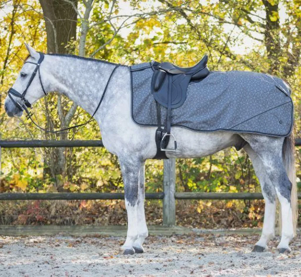 Tappeto Cavallo QHP 1200D Fleece Lining - Il Caldo Abbraccio d'Inverno