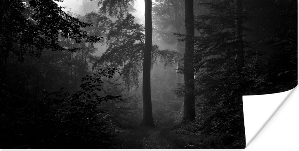 MuchoWow Poster Beginn des Waldweges - schwarz und weiß 40x20 cm - Poster für die Wand - Poster Schlafzimmer