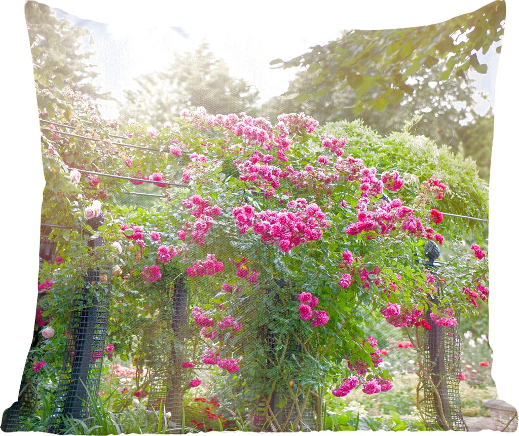 MuchoWow Zierkissen Sofakissen Wohnzimmer Dekokissen 60x60 cm Wunderschöne rosa Rosen wachsen wie Pflanzen in der Wildnis - Sitzfläche - Foto P...