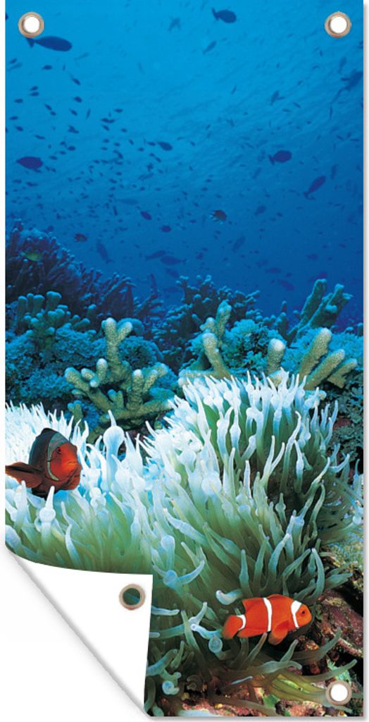 MuchoWow 80x160 cm Outdoor-Poster Gartendeko Sichtschutz Garten Poster für den Garten Unterwasserwelt mit Clownfischen
