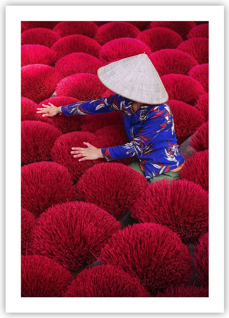 Poster - Poster ohne Rahmen - Trocknen Weihrauch Vietnam - 50x70 cm - Wand Bild - Wanddeko - Wandbilder - Kunstposter - Wandposter - Bilder - Kunst...