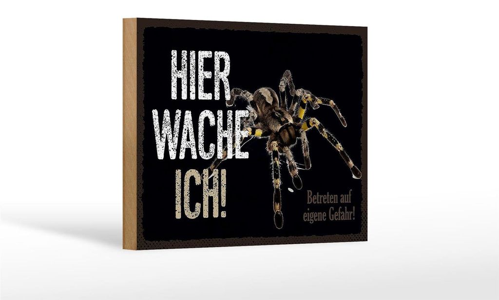 Holzschild Spruch 18x12 cm Spinne hier wache ich eigene Gefahr