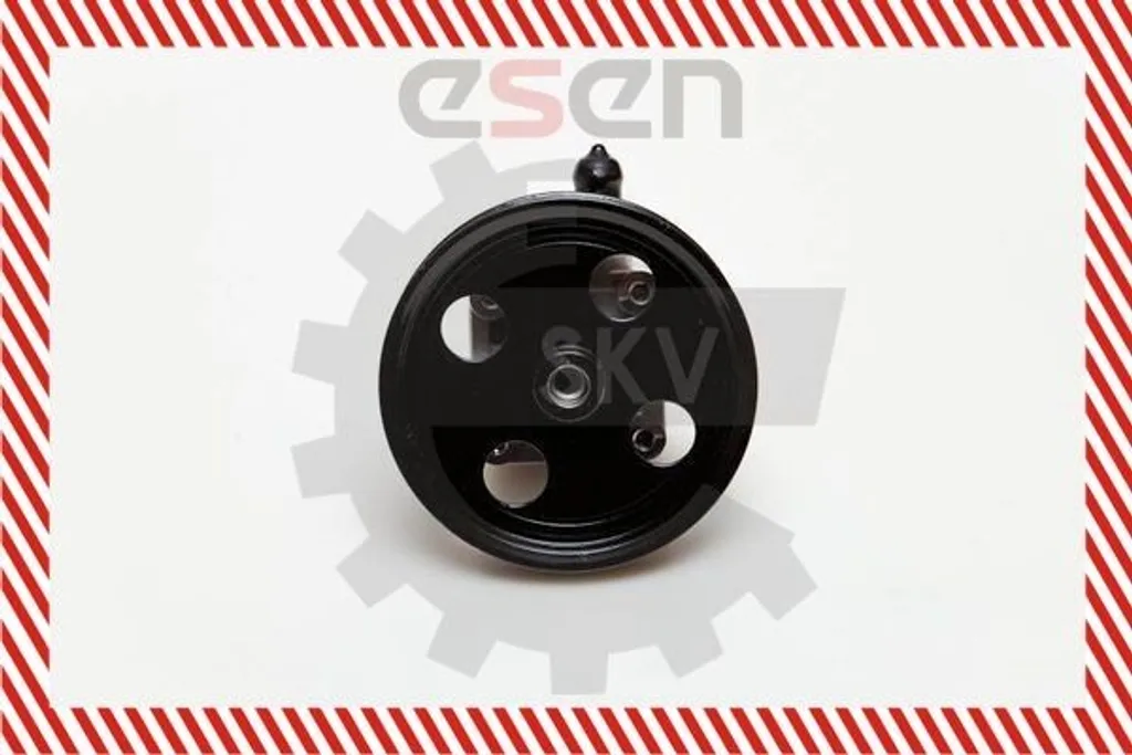 Supprimer les bruits de direction VOLVO V70 II : Pompe 10SKV177 SKV