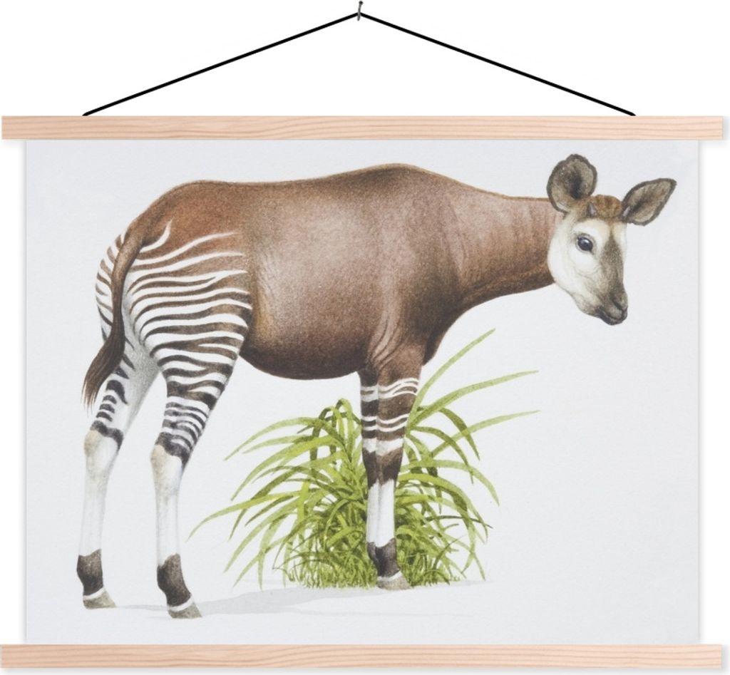 MuchoWow Textilposter Illustration eines Okapis 150x113 cm mit holzfarbenen Rahmen - Poster