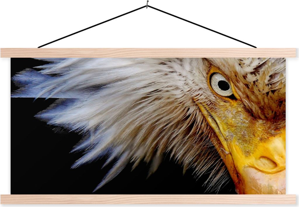 MuchoWow Textilposter Vogel - Auge - Schnabel 60x30 cm mit holzfarbenen Rahmen - Dekoration