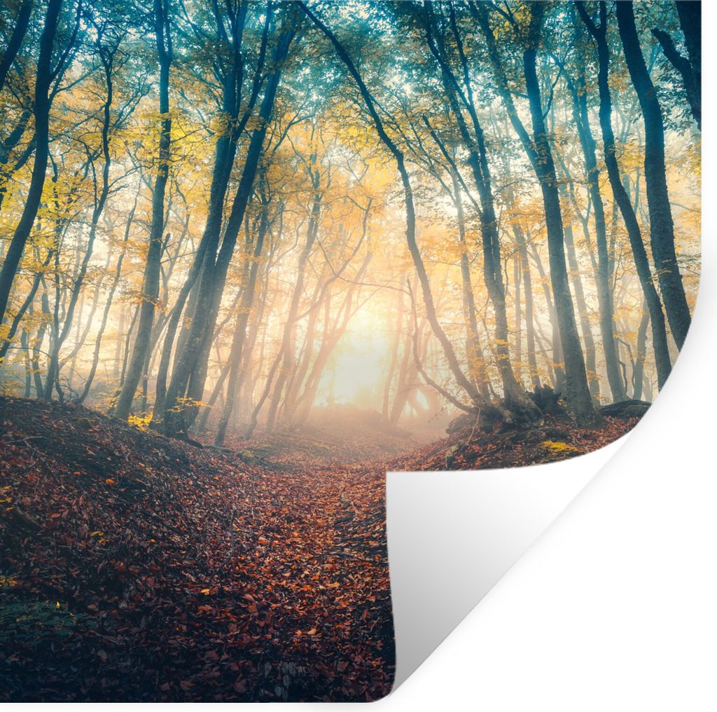 MuchoWow Wandtattoo Wandsticker Wandaufkleber Wald - Nebel - Sonne - Herbst 30x30 cm Selbstklebend und Repositionierbar - Repositionierbar - Wass...