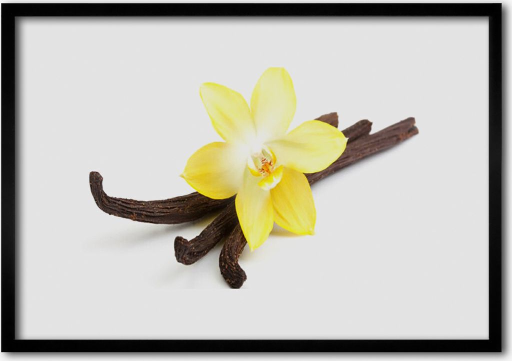 Bild 70x50 MDF-Rahmen Wandkunst Vanilla Pflanze Natur